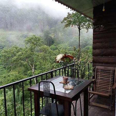 Green Lushy Home Stay Ella Zewnętrze zdjęcie