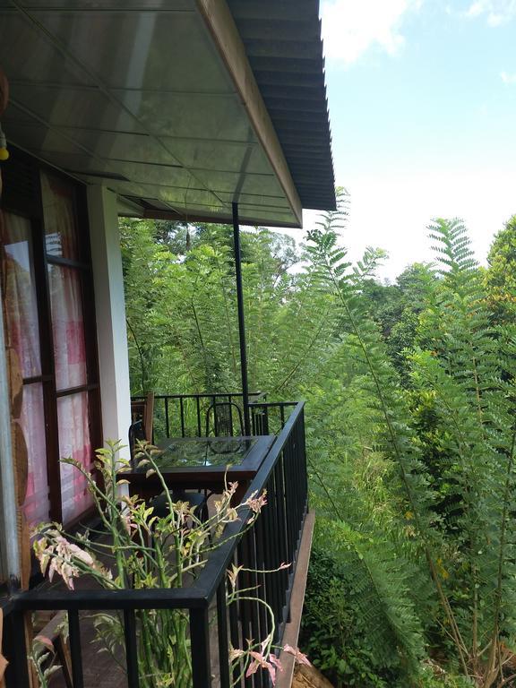 Green Lushy Home Stay Ella Zewnętrze zdjęcie