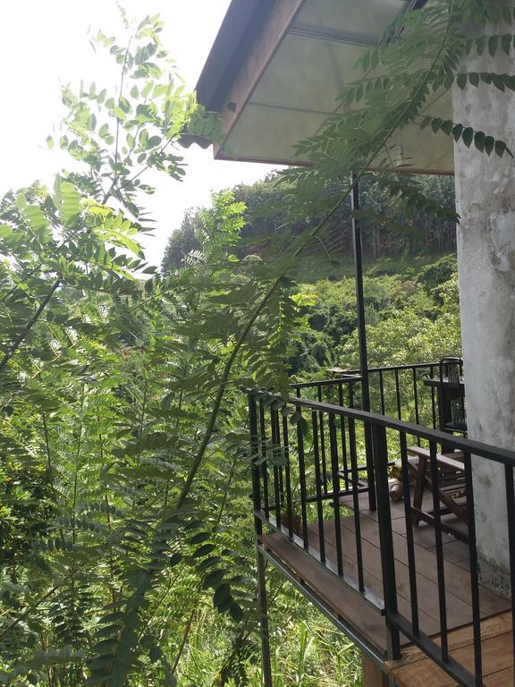 Green Lushy Home Stay Ella Zewnętrze zdjęcie